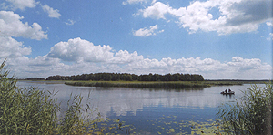 Сорокошичи