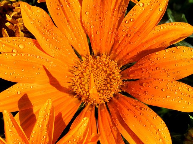 Стихи хорошего дня и отличного настроения