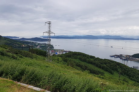 медведи и чудеса камчатки