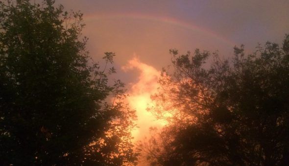 Радуга может сулить богатство