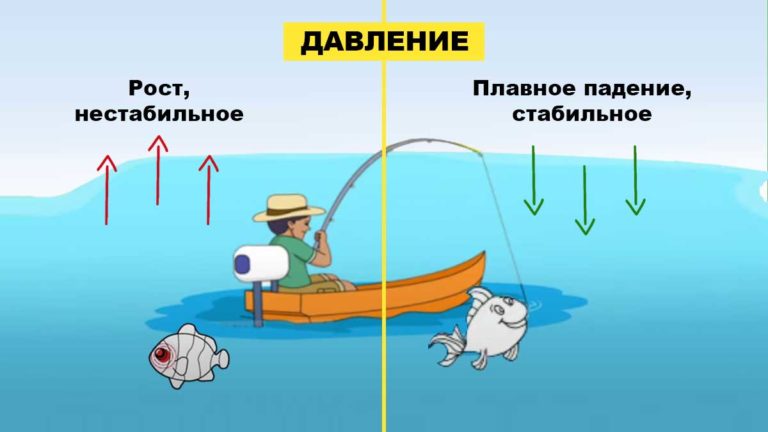 Давление и клев рыбы