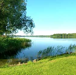 Погодные факторы, влияющие на клев рыбы фотография