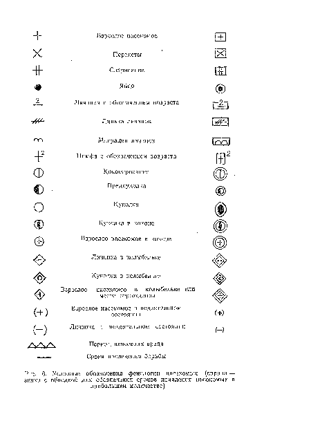 Условные обозначения фенологии насекомых (справа — знаки с обводкой для обозначения сроков появления насекомых в наибольшем количестве)
