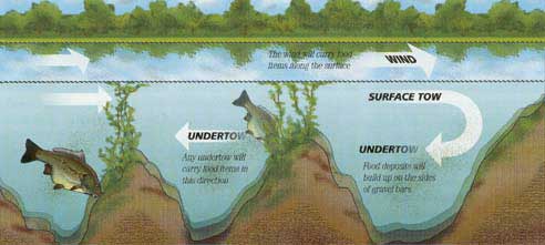 Влияние погоды на клёв карпа
