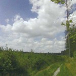 Влияние погоды на роение