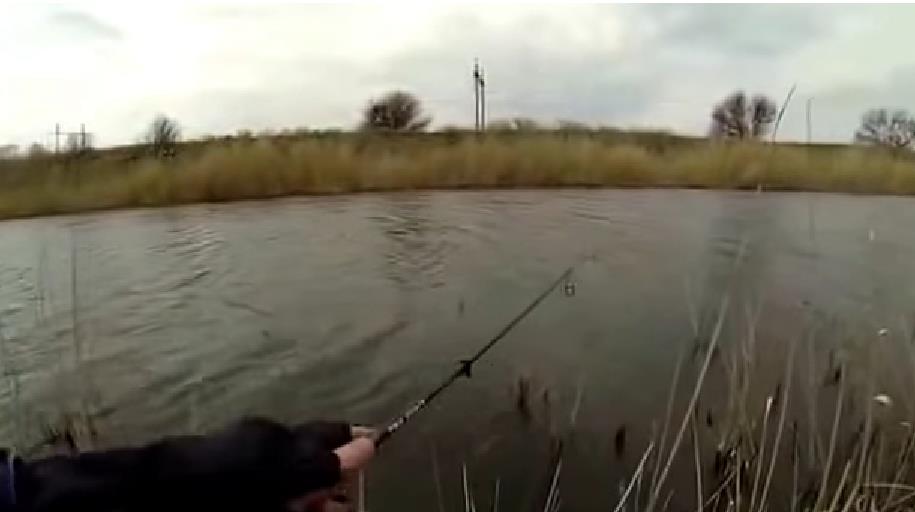 Большую роль в создании условий для клева играют и ветра.