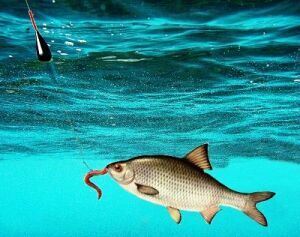 влияние ветра