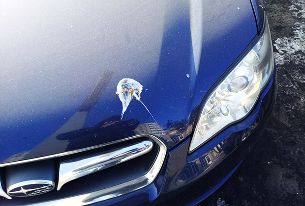 Жара и ее влияние на автомобиль