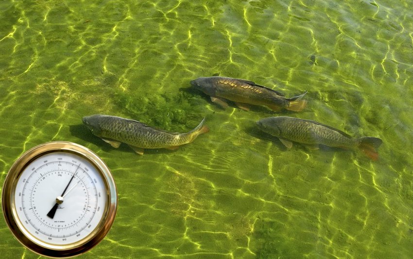 Параметры давления воды