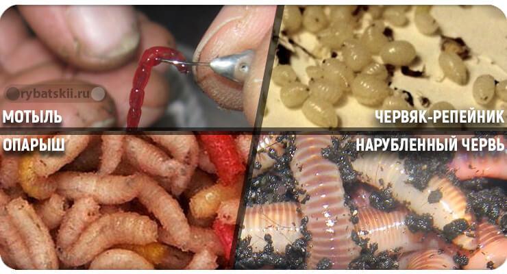 Зимние окуневые приманки