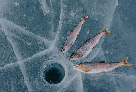 Подлёдная рыбалка на Байкале