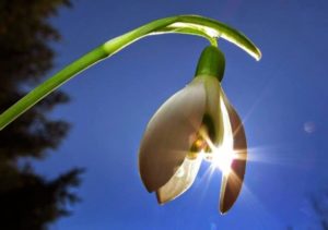 Приметы на Благовещенье касаются и погоды