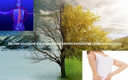 Борьба с обострениями остеохондроза при переменах погоды