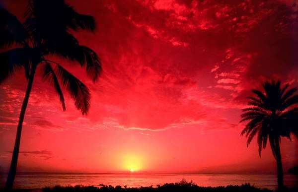 Тропический закат