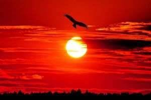 К чему красный закат и почему у него такой пленительный цвет