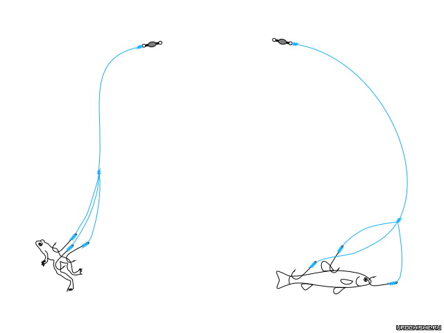 снасточка для осенней донки на голавля