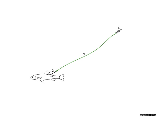 поводок на налима для осенней донки