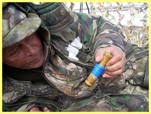 Охота на гуся с манком