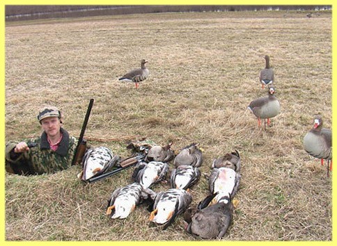 Укрытие для охоты на гуся