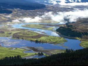 Как влияет климат Петербурга на здоровье людей