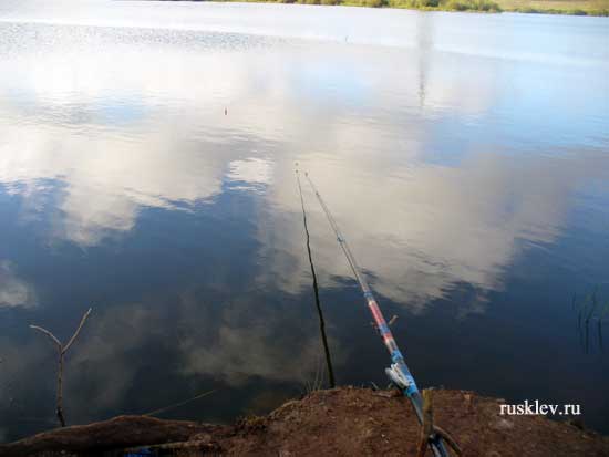 Как влияет погода на клев рыбы?