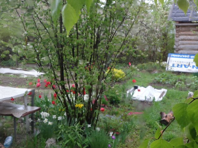 А какая у вас погода? 7265d7c84f95