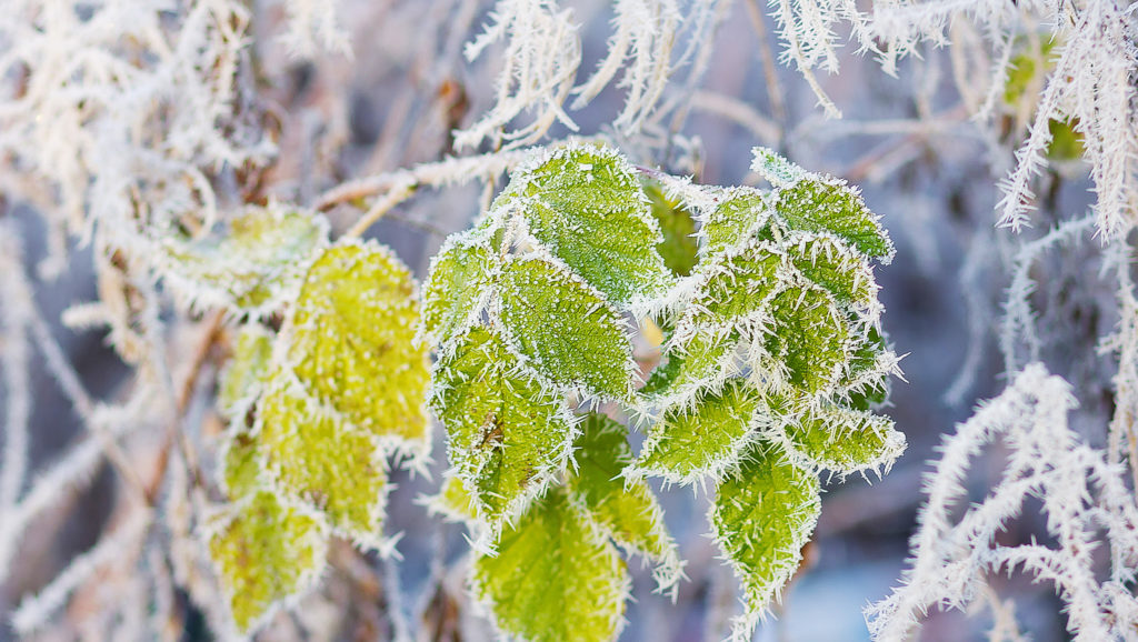 Приметы к холоду 