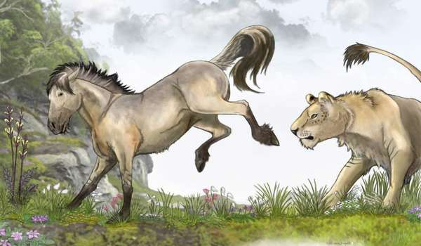 Тарпан – вымершая низкорослая лошадь