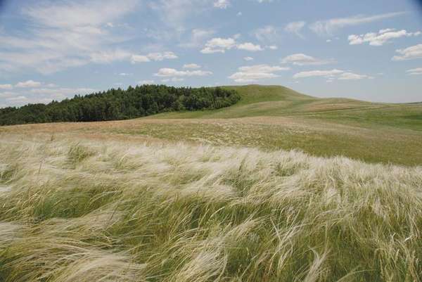 СКОЛЬКО СТОИТ СТЕПЬ? | Уральское отделение РАН