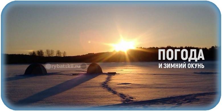 Влияние погоды на клёв окуня зимой