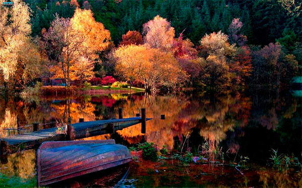 Календарь клева рыбы на октябрь