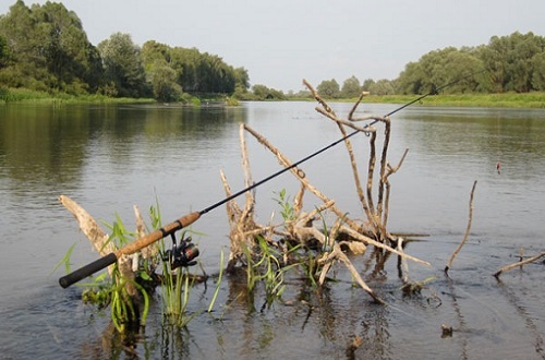 жара на реке