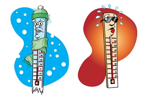 Температура и карп