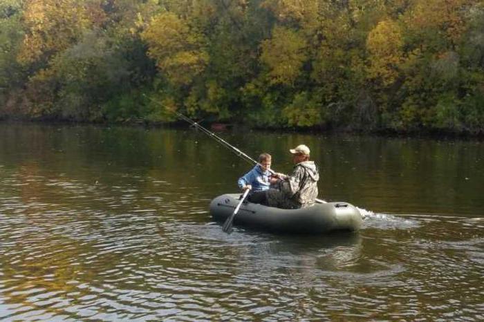 Клев рыбы в Волгоградской области на Дону