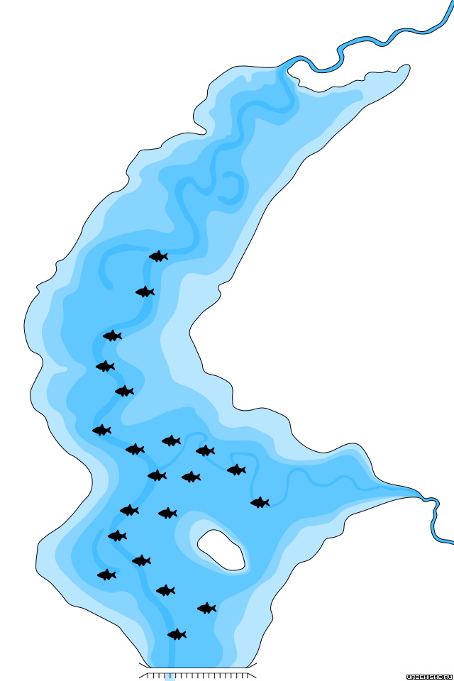 Активность лещя в середине зимы