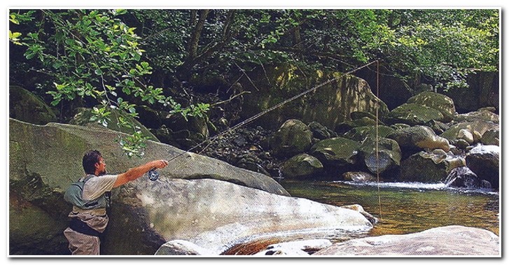 кавказ форель