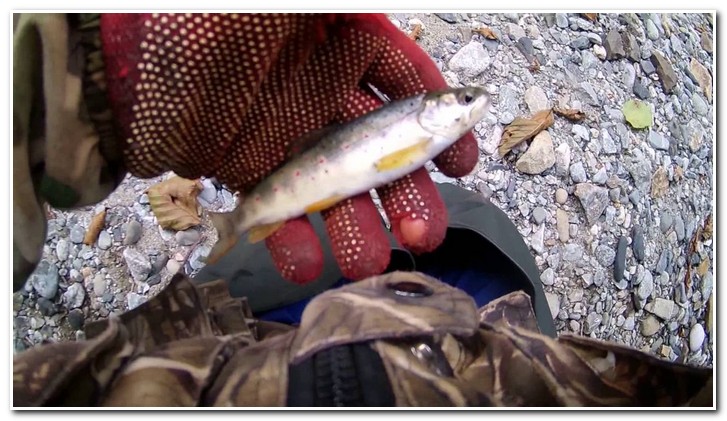 ловля форели на кавказе