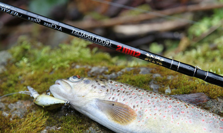 удочка для форели