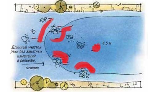 Плотва на реках