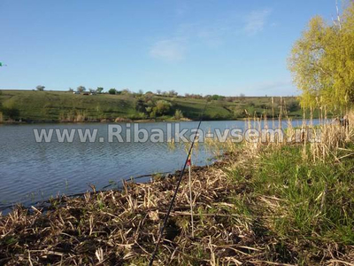 Лучшая погода для рыбалки, факторы влияющие на клёв