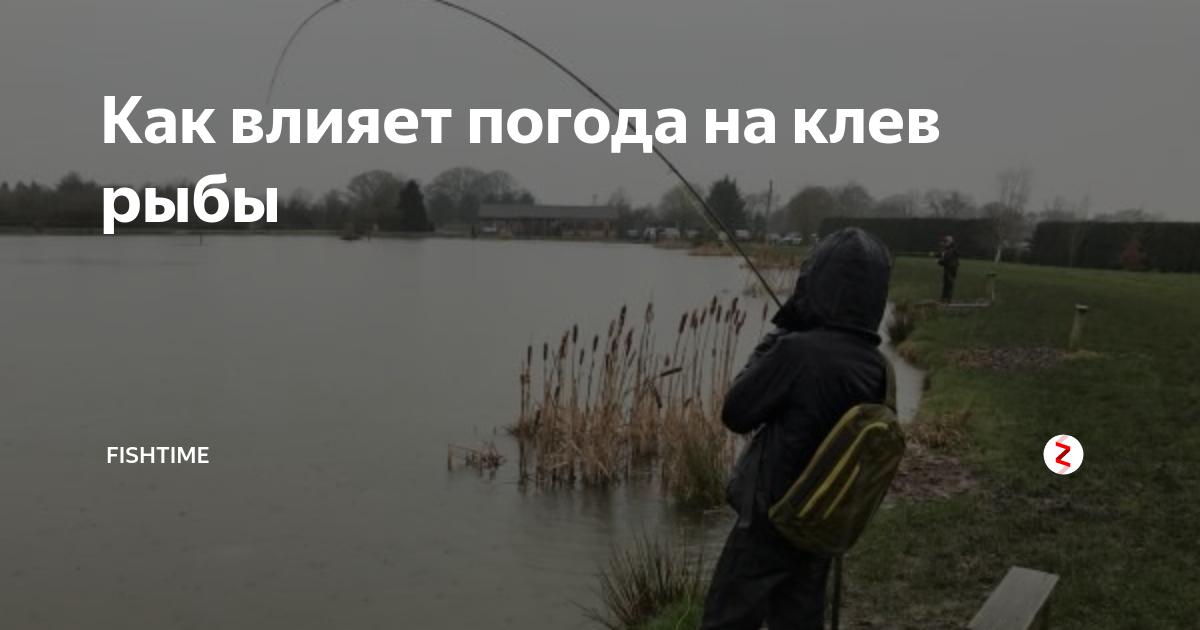 В какую погоду лучше ловить рыбу – основные факторы