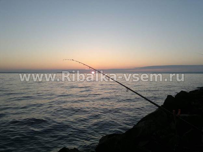 Лучшая погода для рыбалки, факторы влияющие на клёв