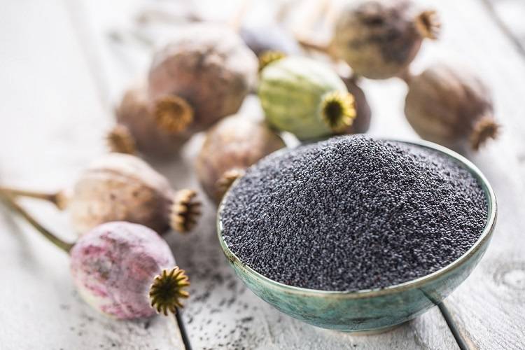 Православные христиане по всему миру 14 августа в 2019 году отметят Маковей, что категорически нельзя делать в этот день