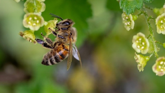 30 апреля приметы суеверия обряды