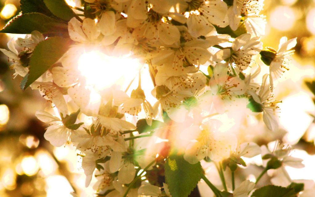 Народные приметы апреля на каждый день