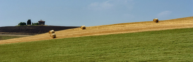 Приметы августа: о женитьбе и погоде, для праздников