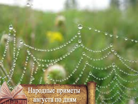приметы августа