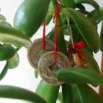 Лунный денежный календарь на март 2021 благоприятные дни