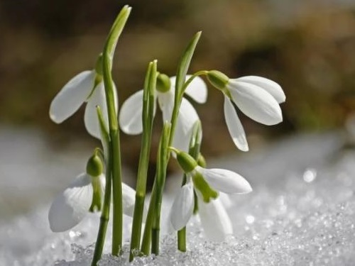 Народные приметы на март 2021 года