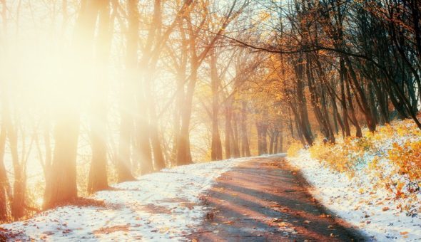 Народные приметы ноября о погоде - толкование по дням недели